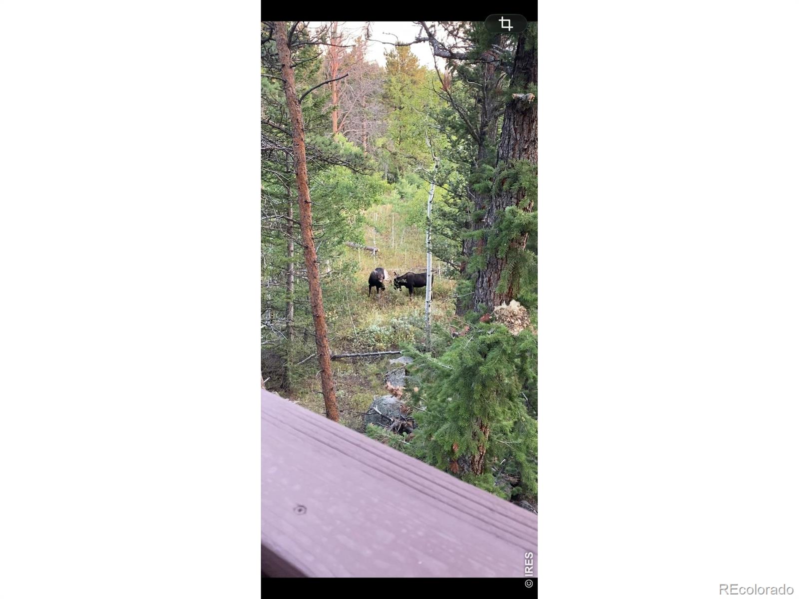 153 Columbine Dr, Red Feather Lakes, CO 80545