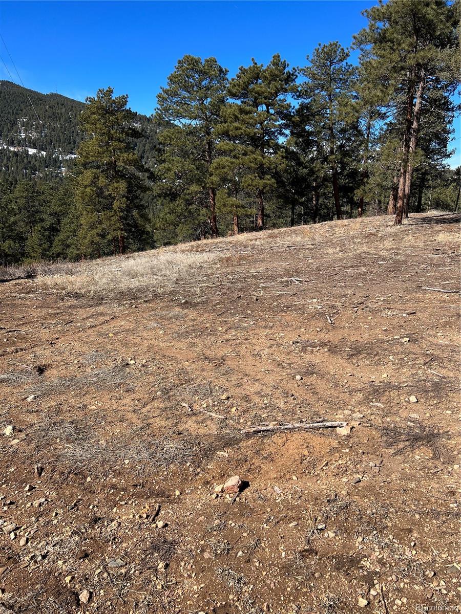 Lot 1 Iowa Gulch Rd, Morrison, CO 80465