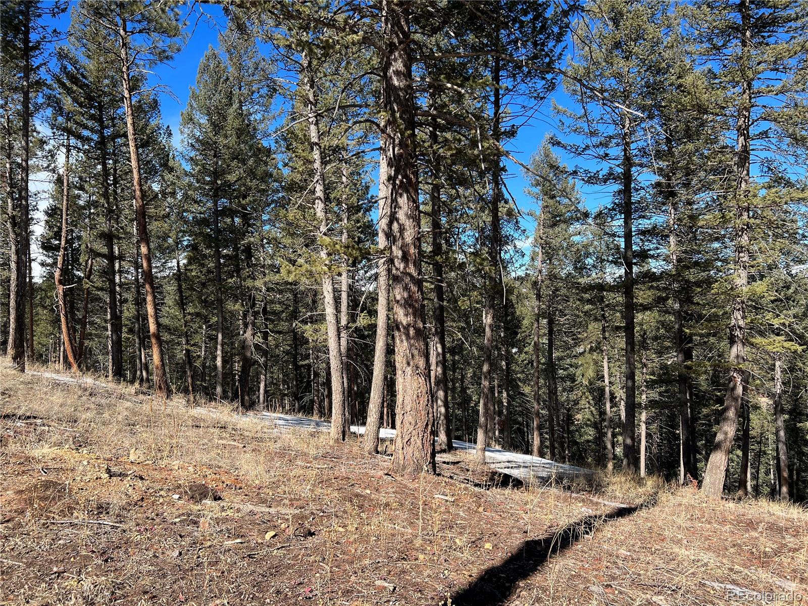 7871 Gold Rush Lot 3, Morrison, CO 80465