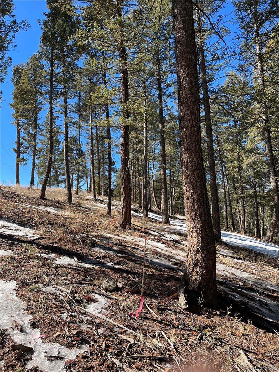 7871 Gold Rush Lot 3, Morrison, CO 80465
