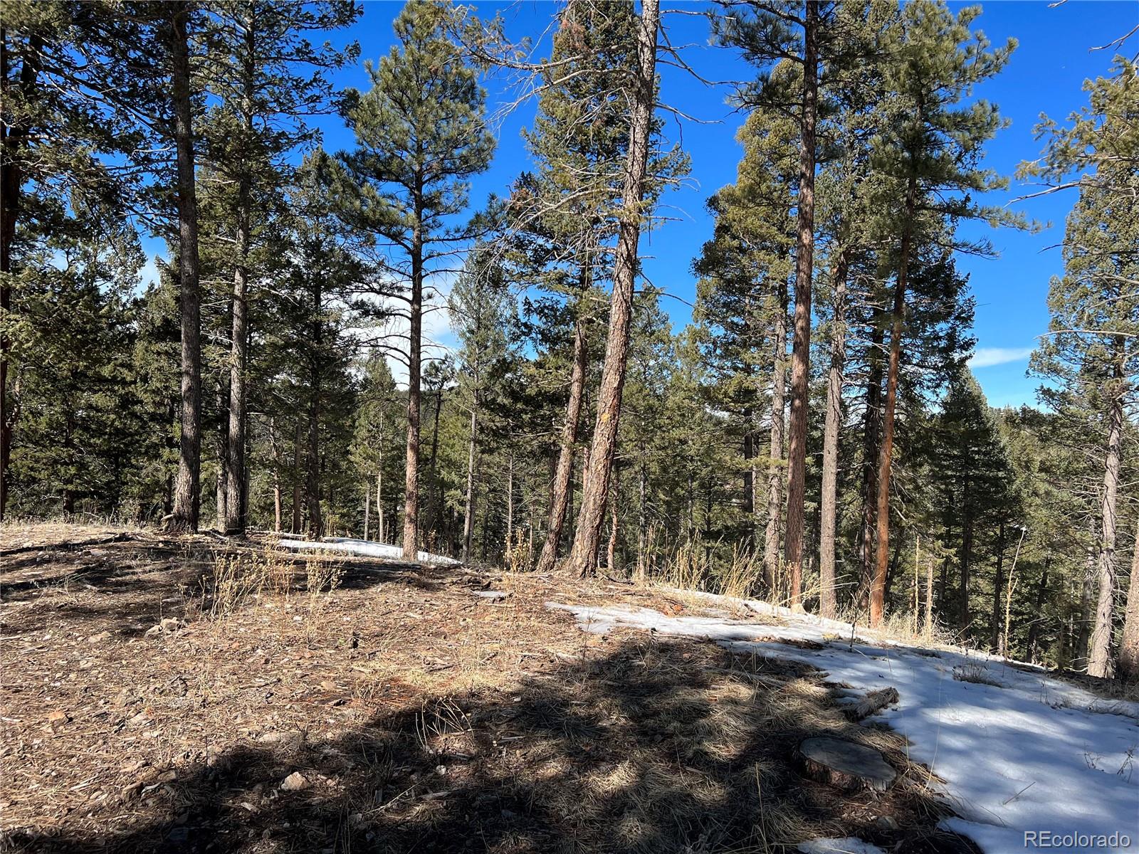 7871 Gold Rush Lot 3, Morrison, CO 80465