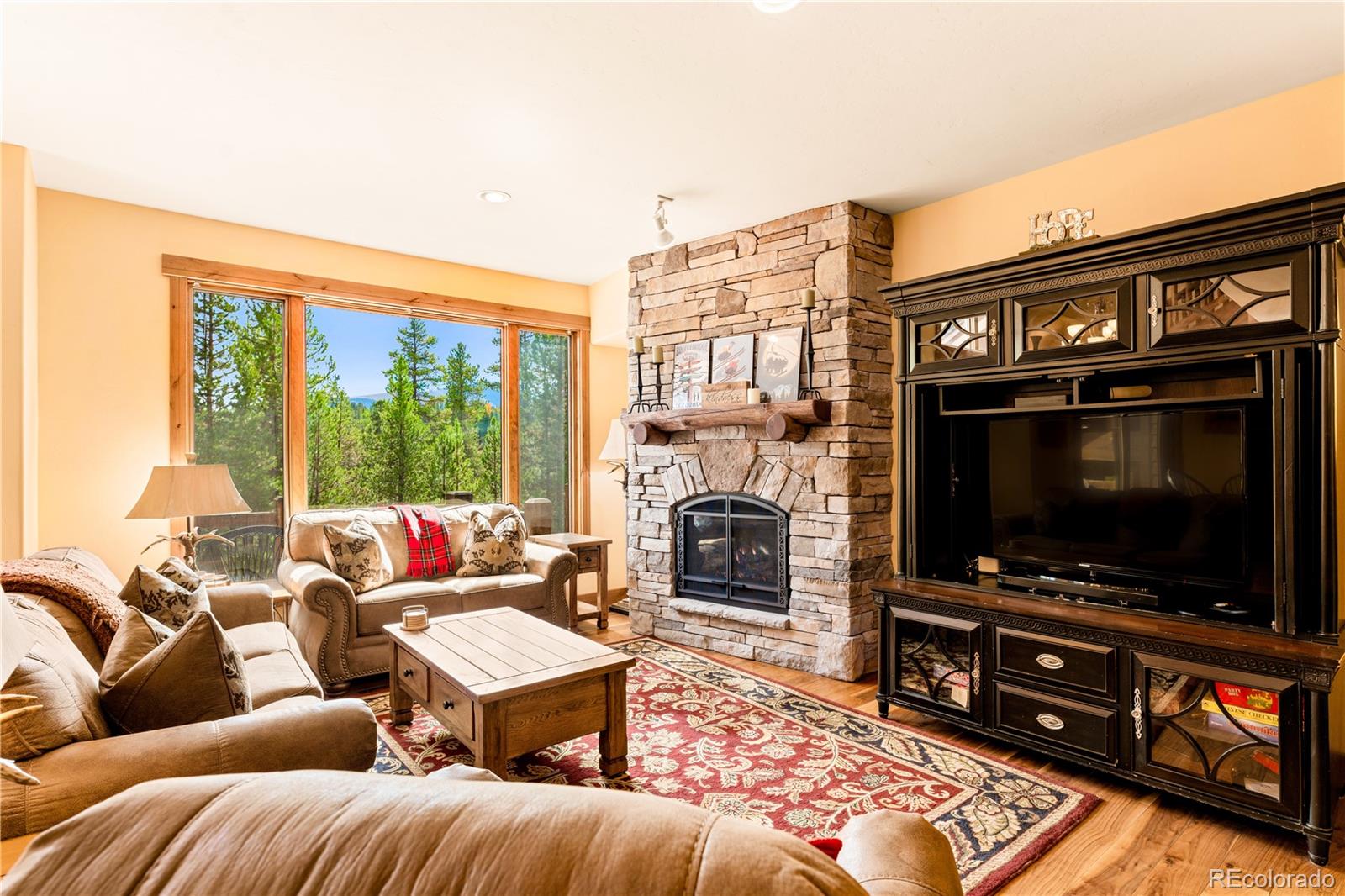 91 Snowshoe Cir, Breckenridge, CO 80424