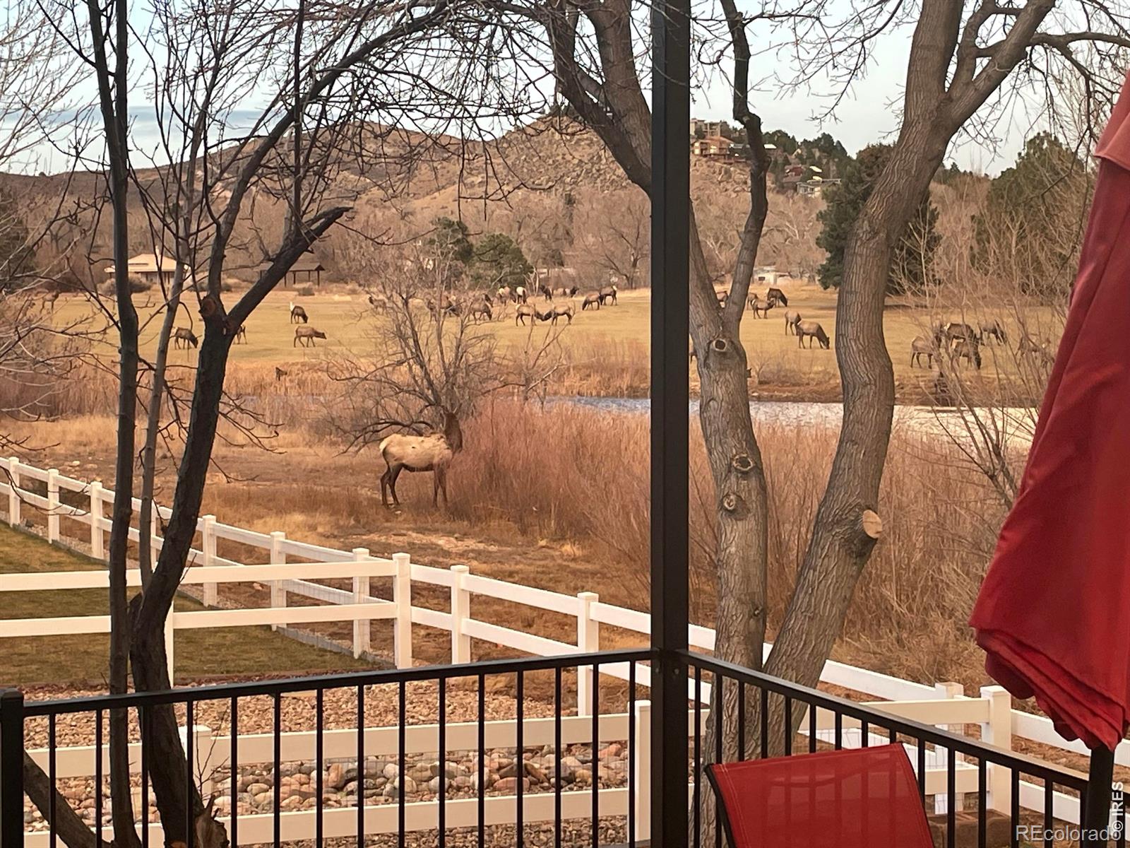 4339 Golf Vista Dr, Loveland, CO 80537