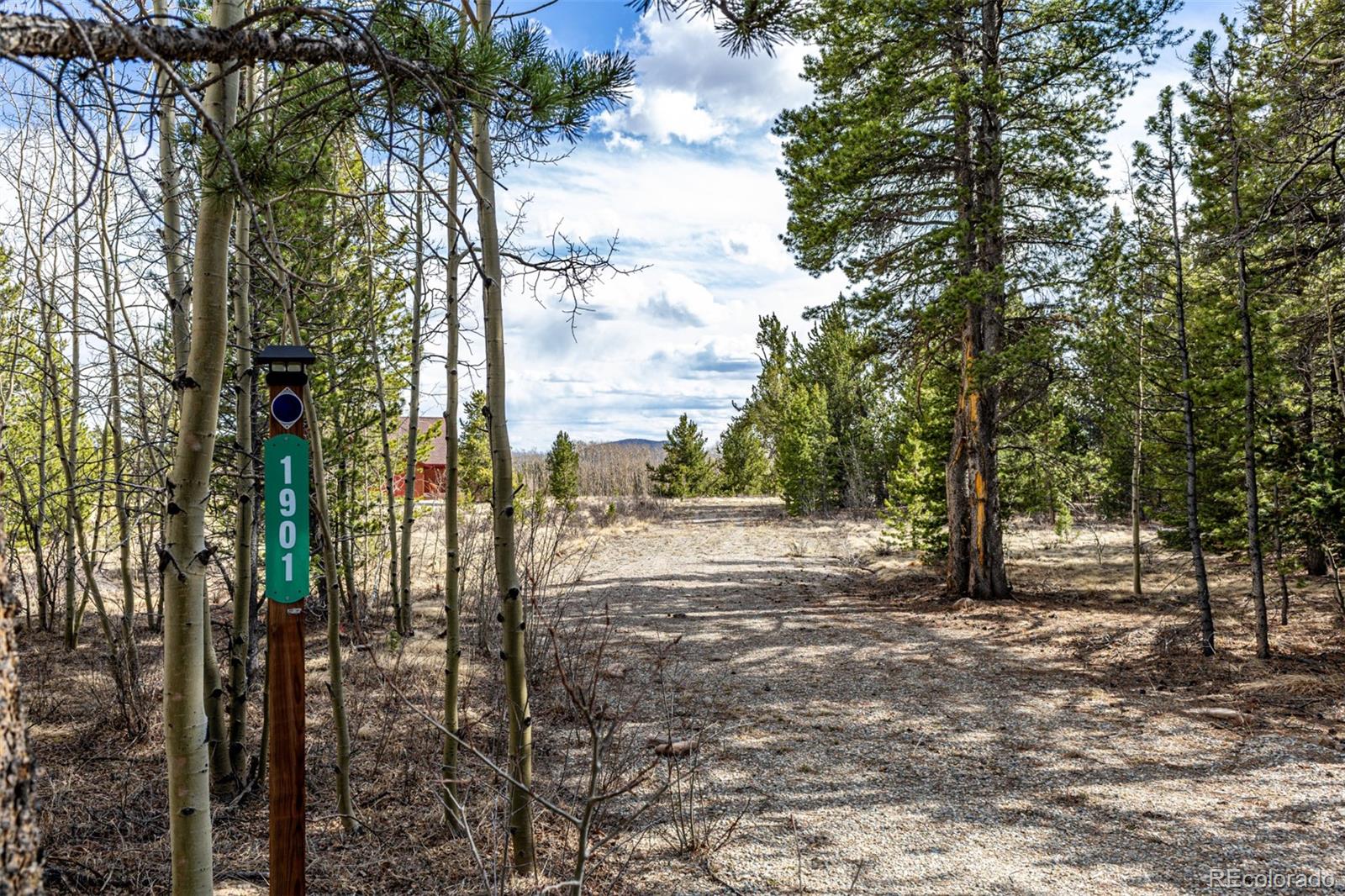 901 Bluestem Way, Fairplay, CO 80440