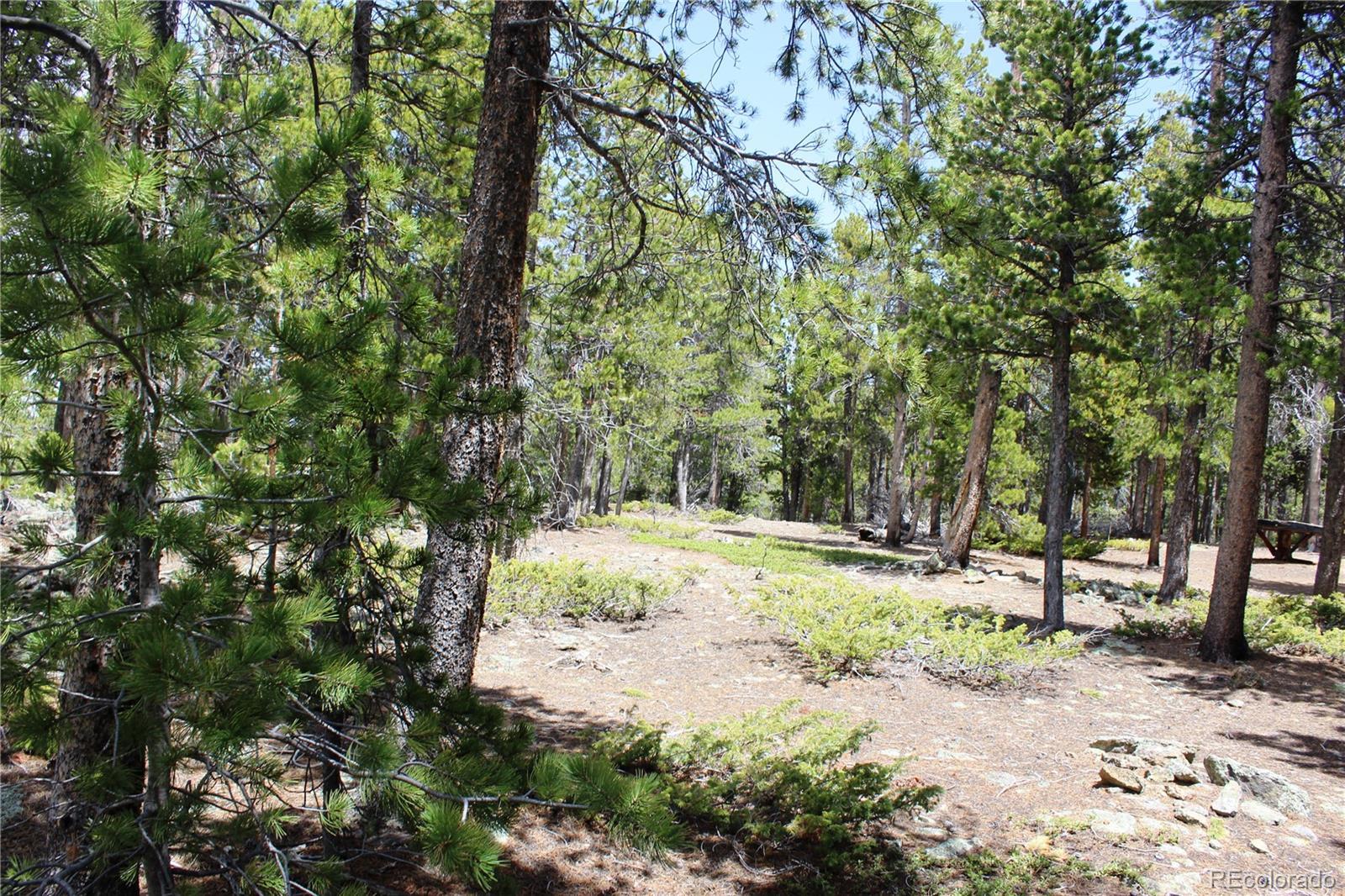 435 Aspen Rd Lot 117, Black Hawk, CO 80422