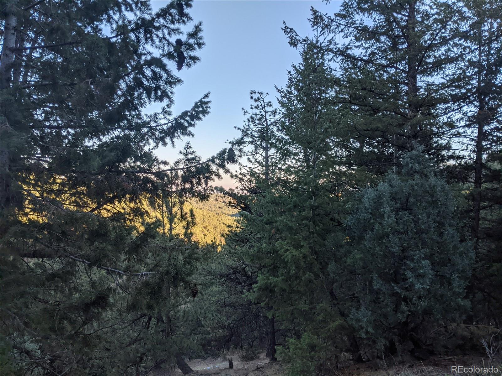105 Millionaire Dr E Lot 4, Boulder, CO 80302