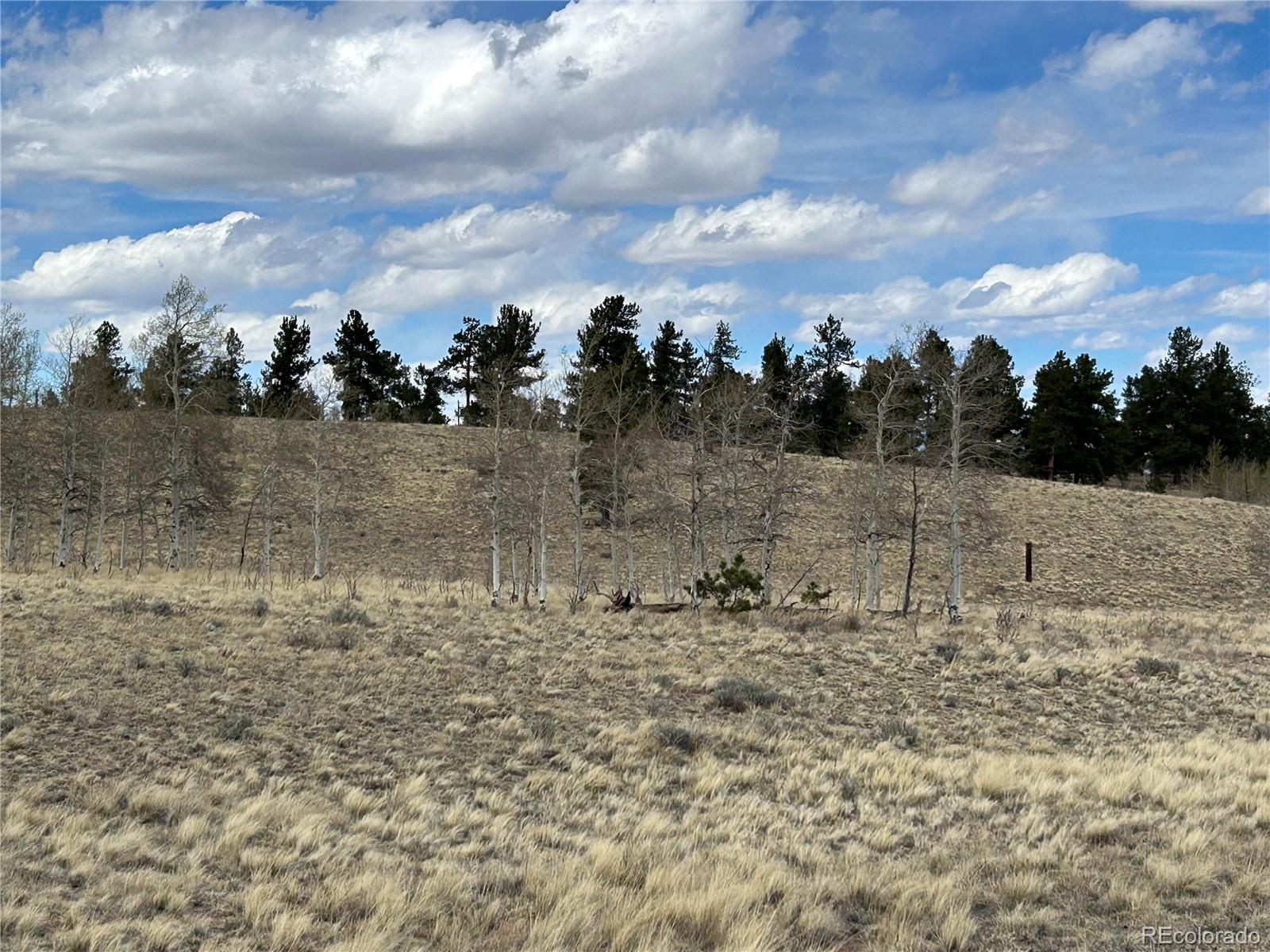 187 Angus Cir Lot 962, Hartsel, CO 80449