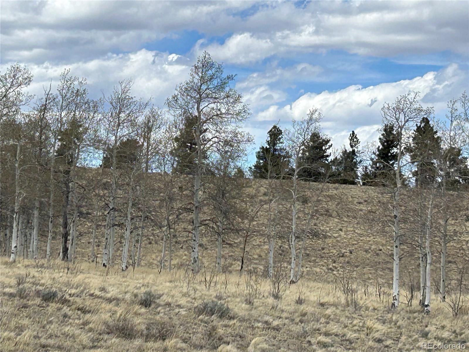 187 Angus Cir Lot 962, Hartsel, CO 80449