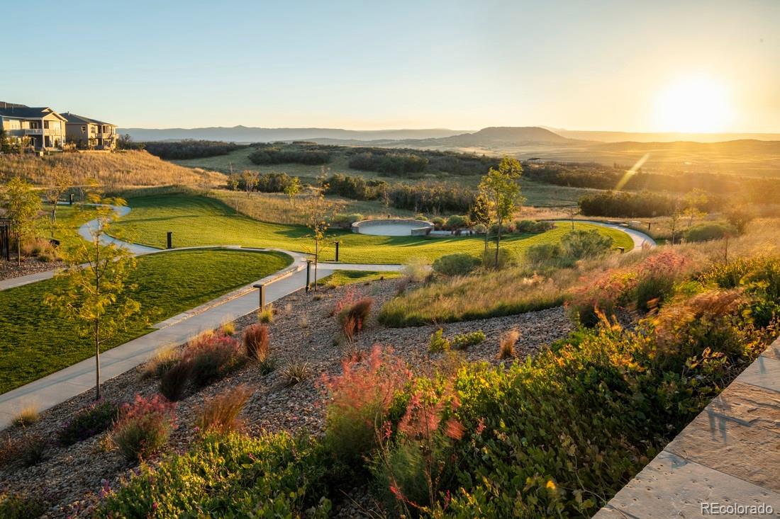 64 Leafy Aster Ln, Castle Rock, CO 80104