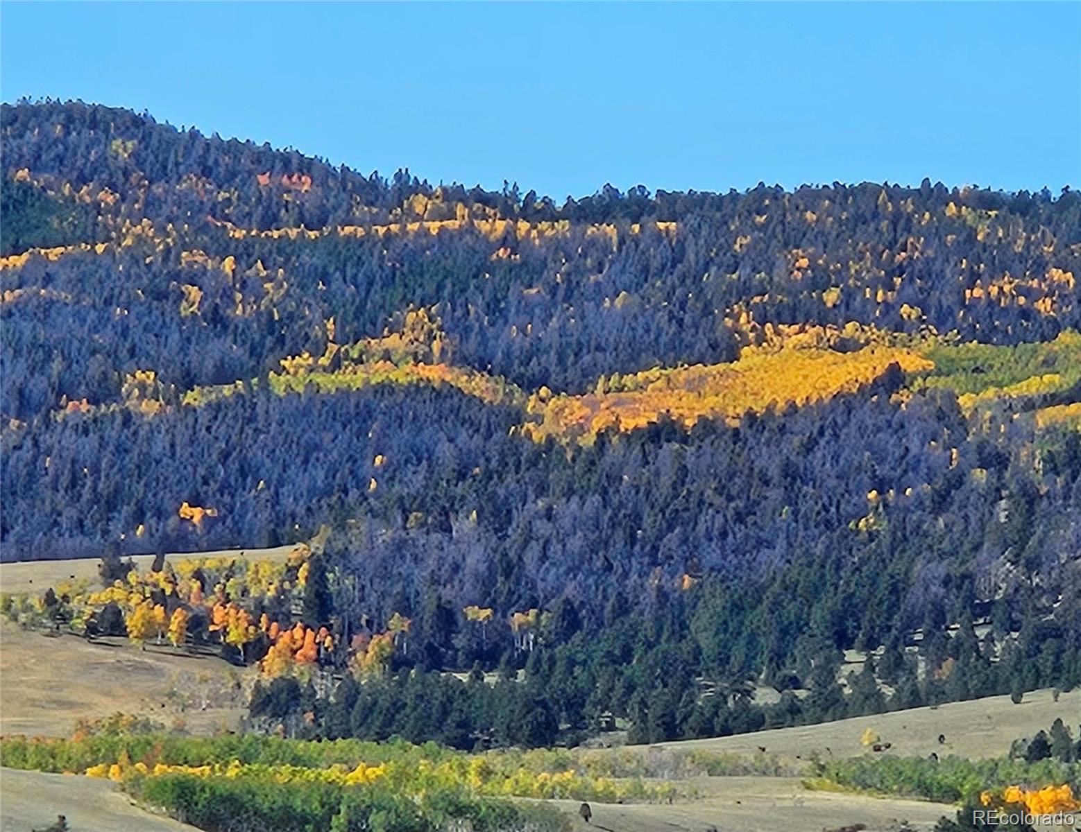 229 Ladigo Ln, Hartsel, CO 80449