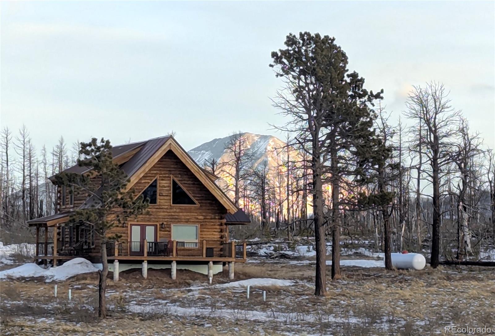 1456 Von Heyl Ln, Fort Garland, CO 81133