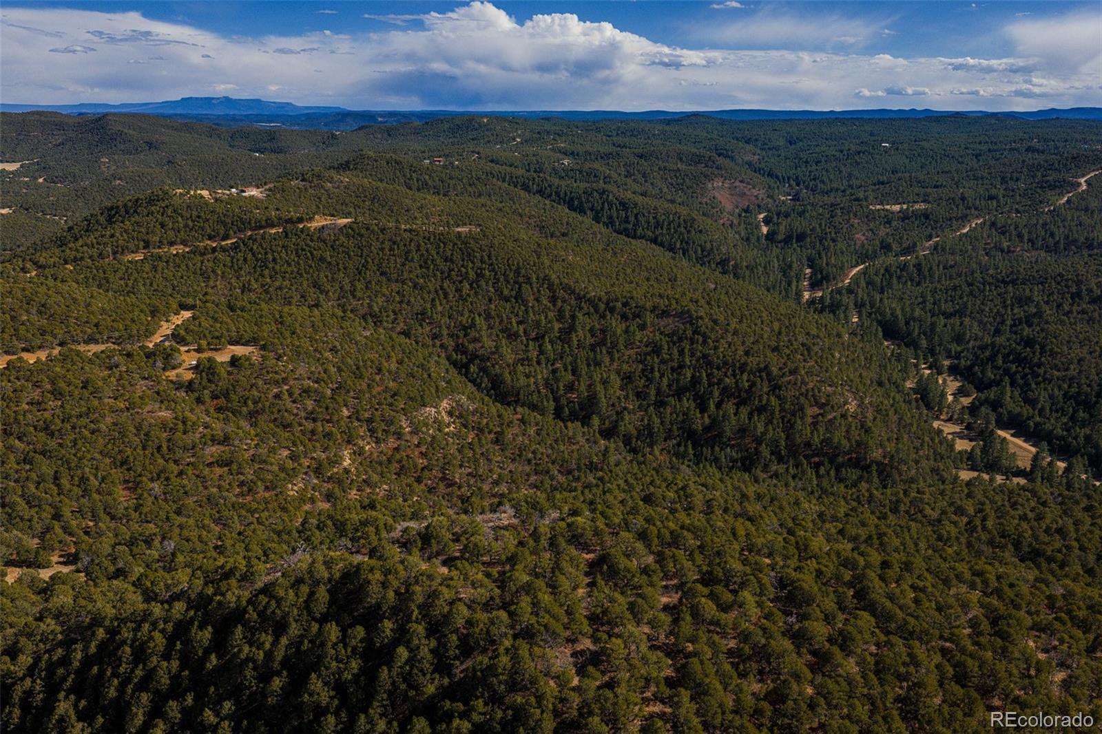 84 North Mountain, Walsenburg, CO 81089