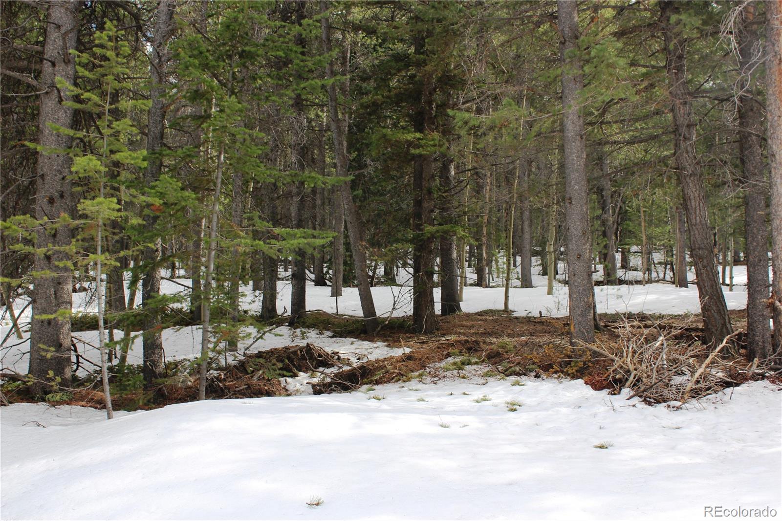 00 Miners Mesa Rd, Black Hawk, CO 80422