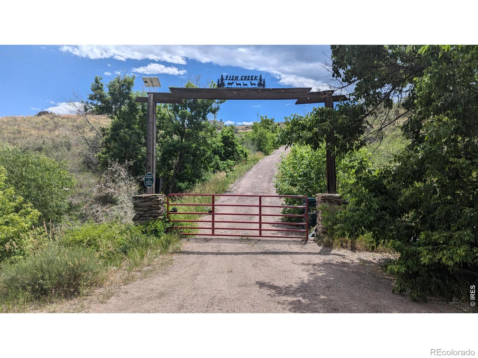 439 Redtail Ridge Way, Bellvue, CO 80512