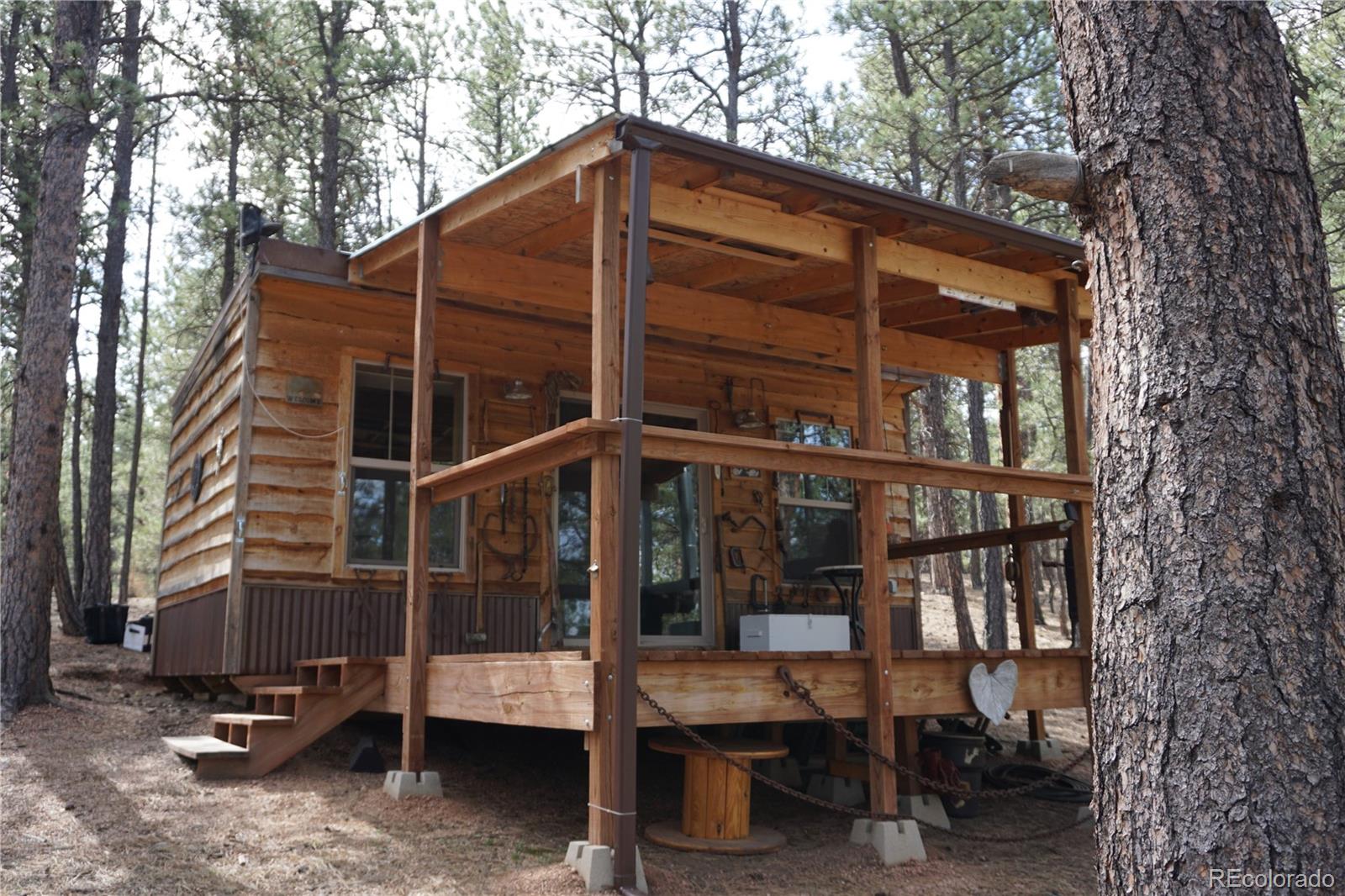163 Ouray Rd, Florissant, CO 80816