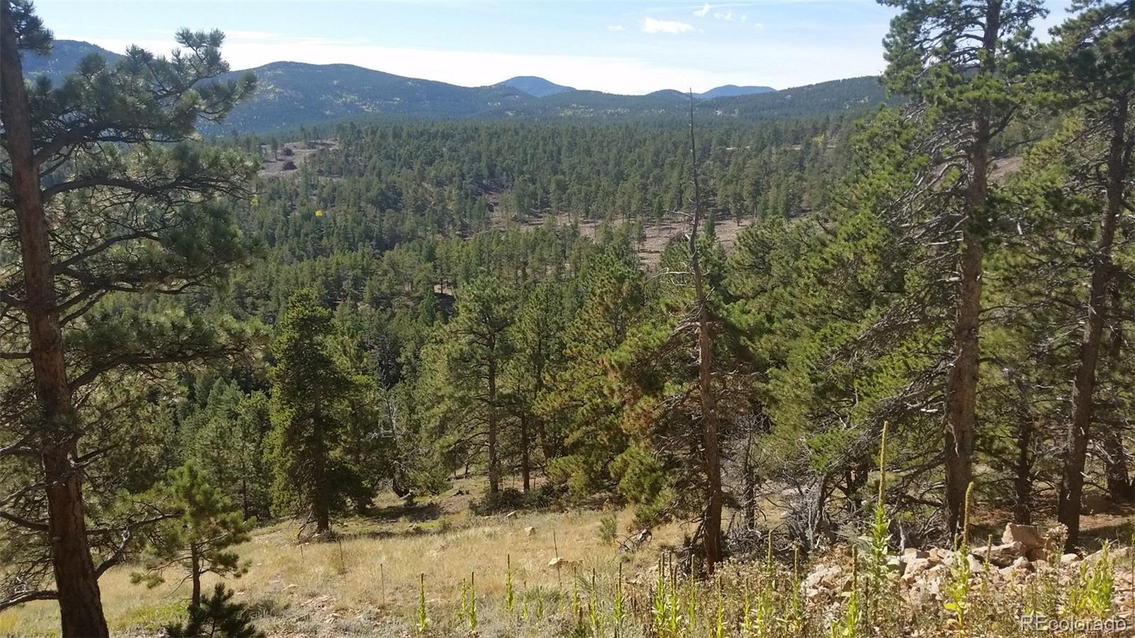 32778 Janelle Ln, Golden, CO 80403
