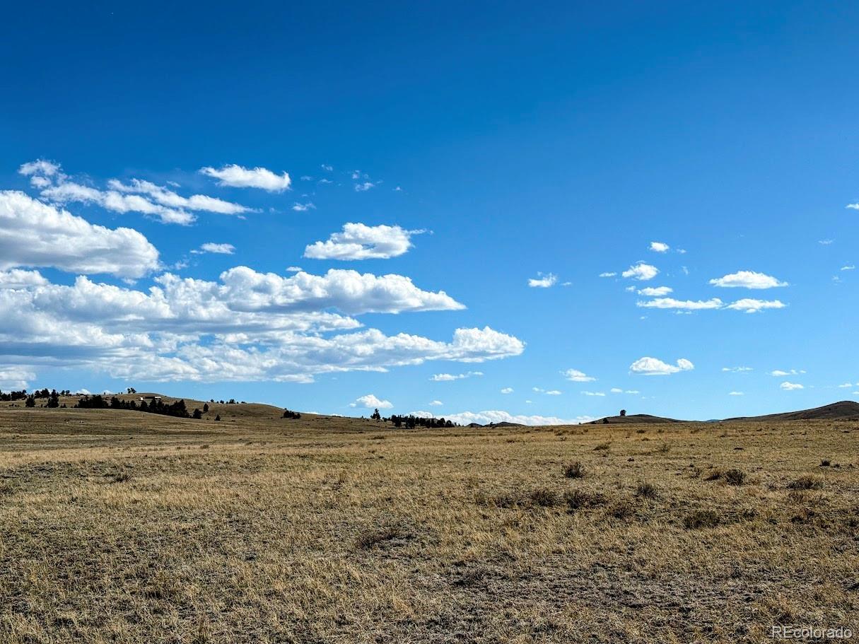 0000 Chickasaw Rd, Hartsel, CO 80449