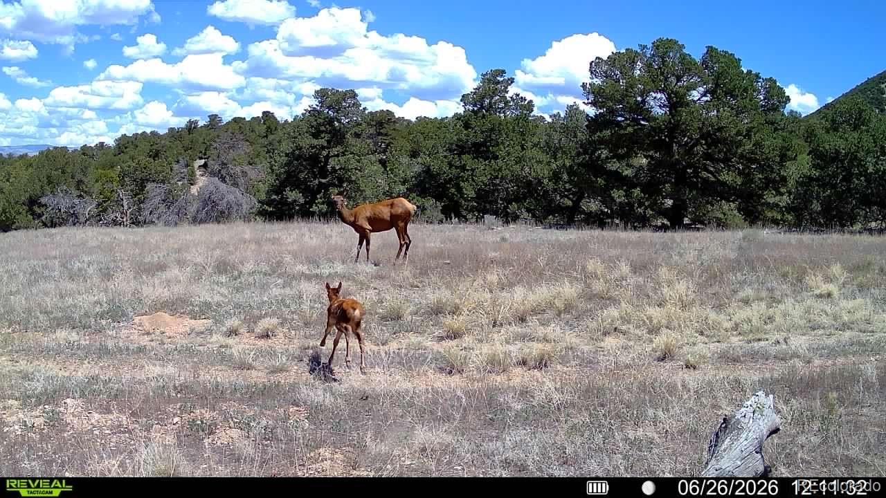 County Road 560, Gardner, CO 81040