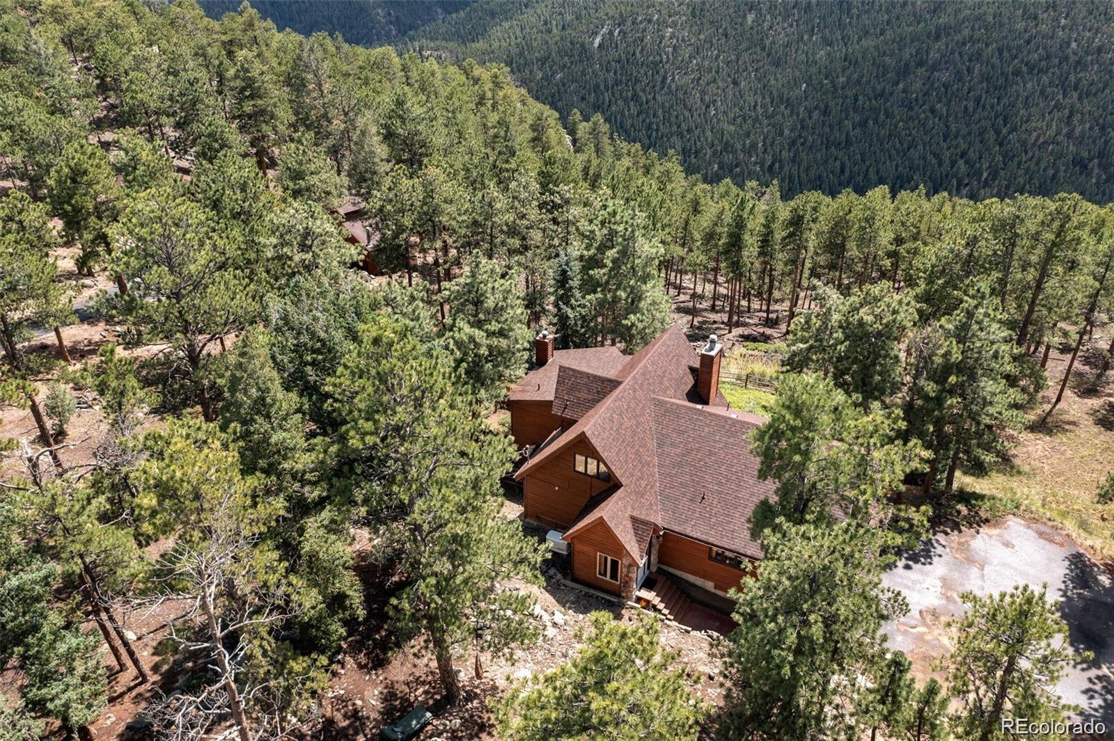 16 Auk Ln, Bailey, CO 80421