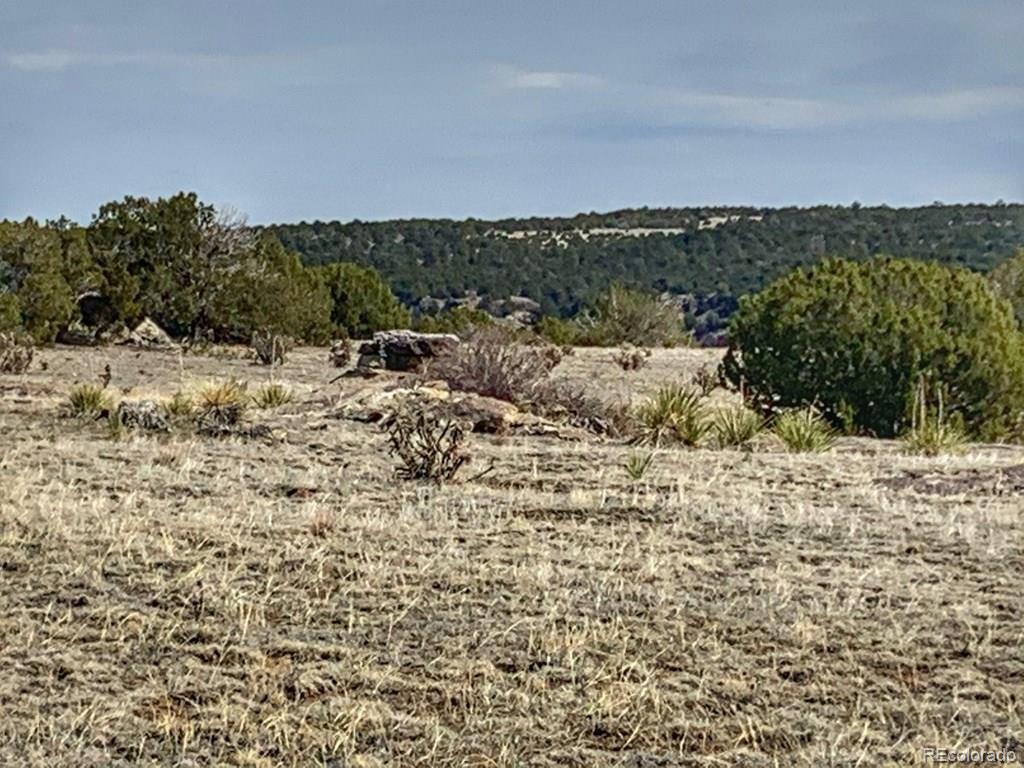 Lot 80 Turkey Ridge Ranch, Walsenburg, CO 81089