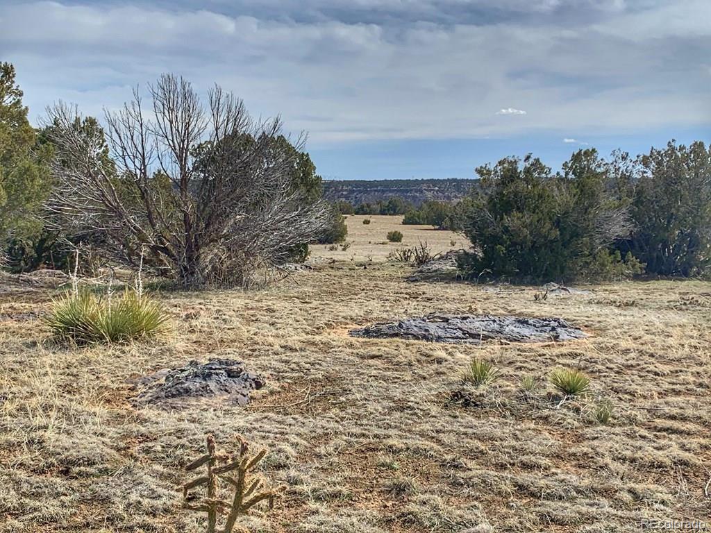 Lot 80 Turkey Ridge Ranch, Walsenburg, CO 81089