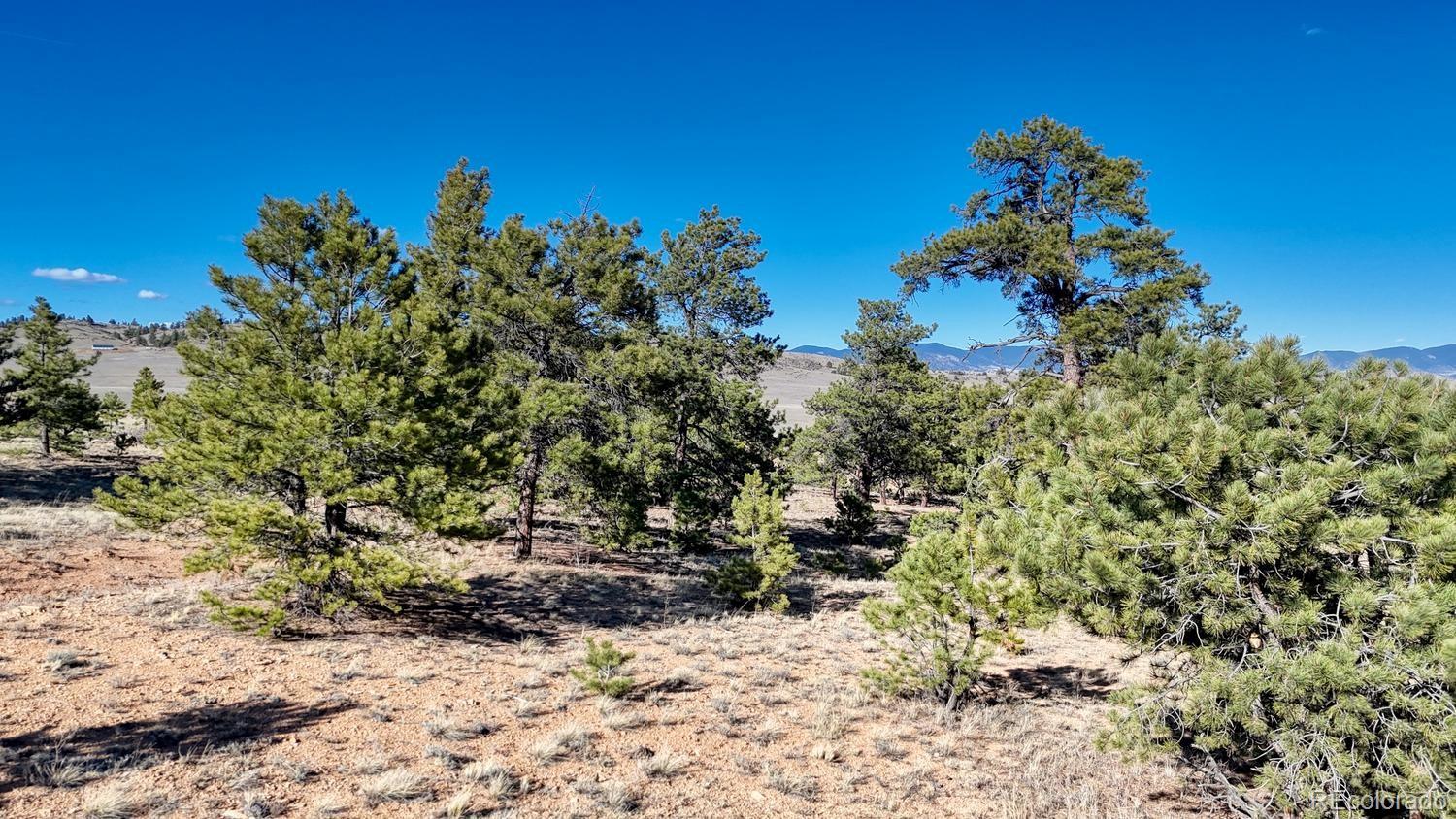 Lot 5103 Anasazi Rd Lot 5103, Hartsel, CO 80449