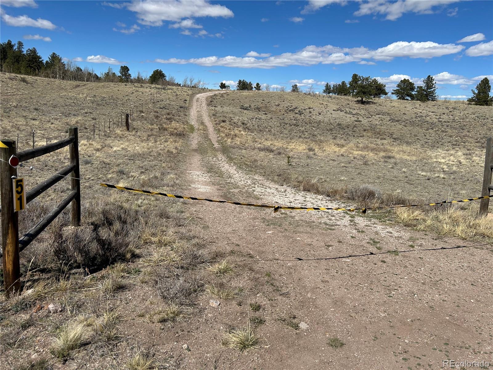51 Singletree Ln, Hartsel, CO 80449