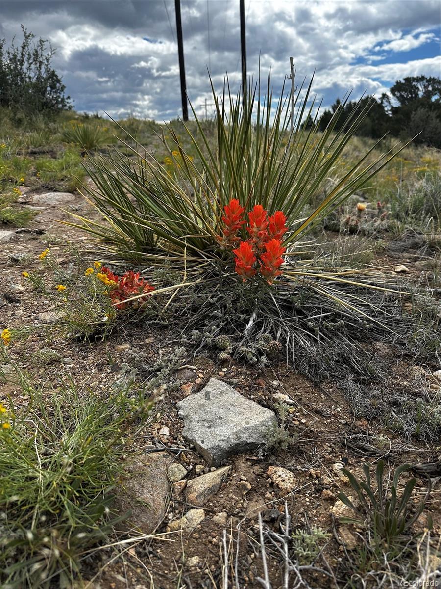 15135 Marble Rn Lot 58, Salida, CO 81201