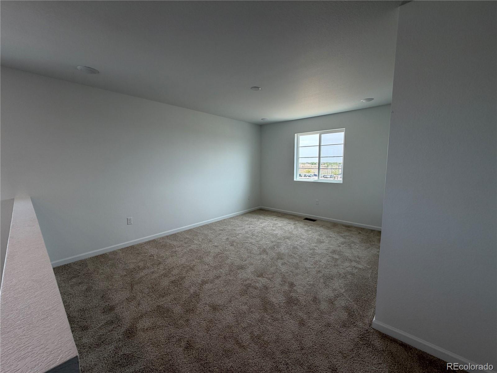 6446 Ankina Dr, Windsor, CO 80528