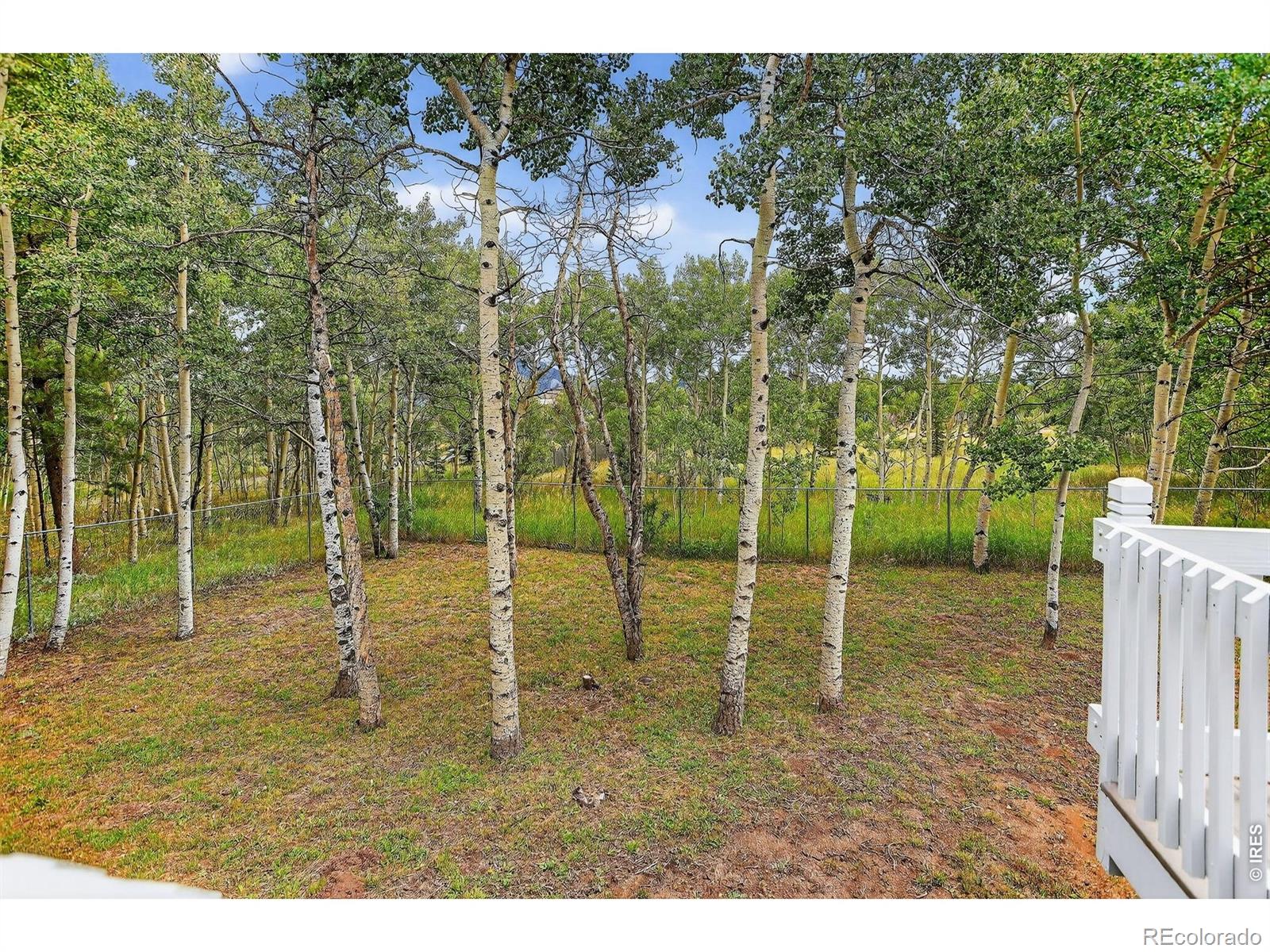 233 Deer Cir, Black Hawk, CO 80422
