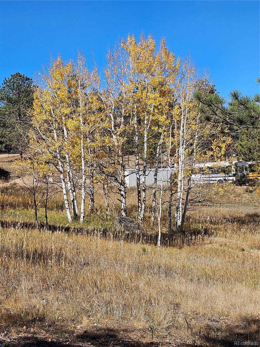1504 County Road 43, Bailey, CO 80421