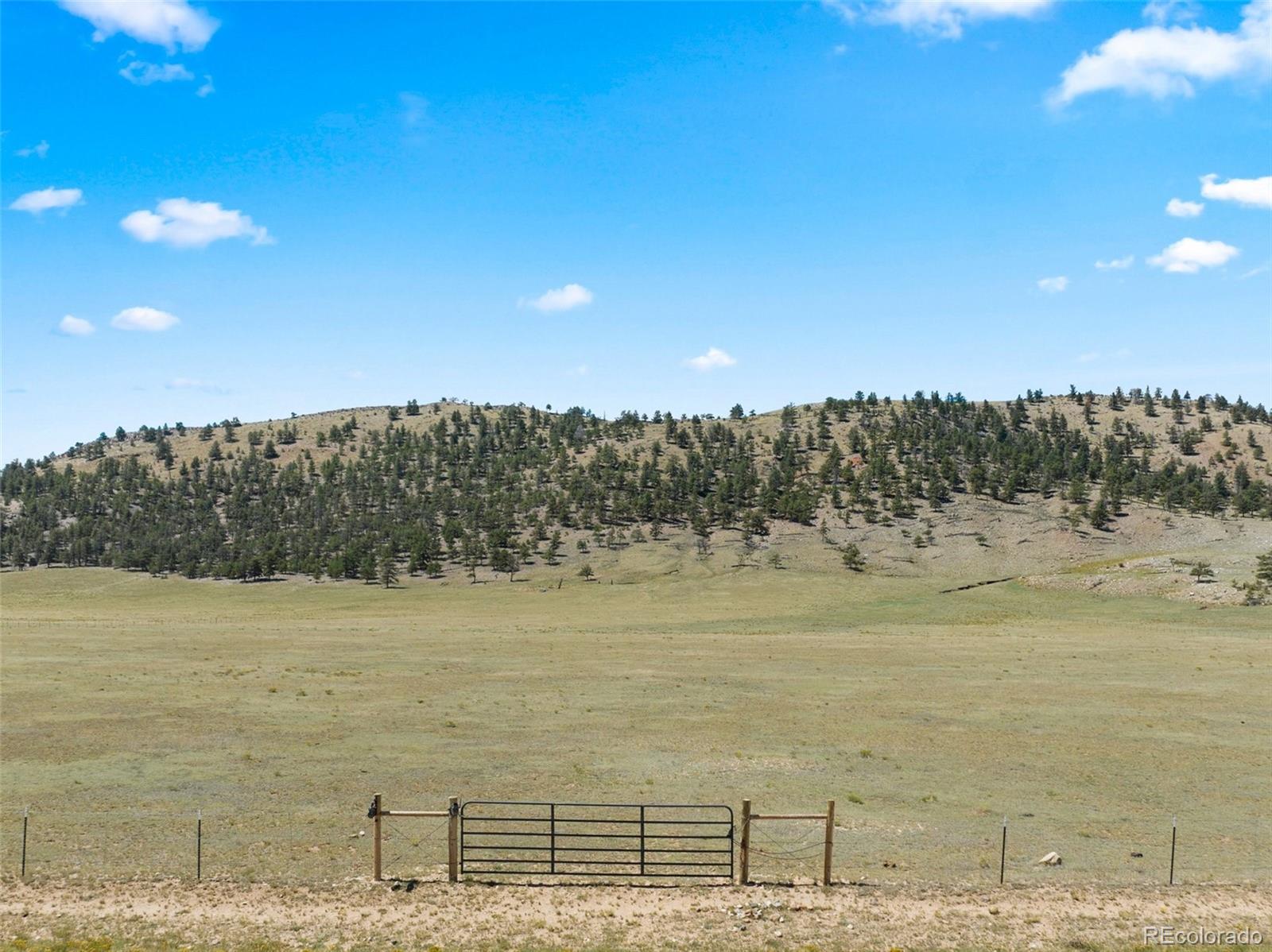 835 Sulphur Mountain, Lake George, CO 80827