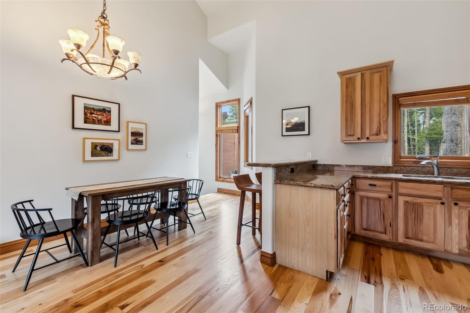 1152 Ski Hill Rd, Breckenridge, CO 80424