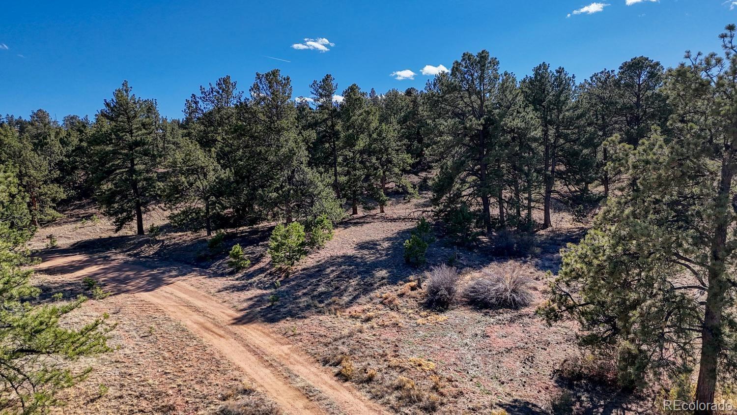 L5124 Arikara Trl Lot L5124, Hartsel, CO 80449
