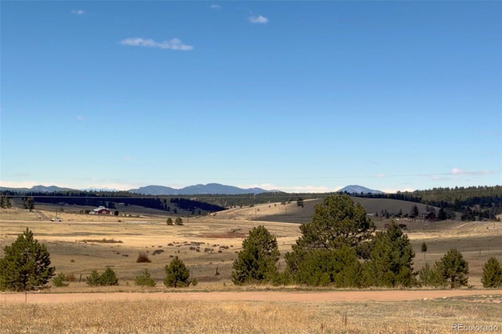 301 E Longbow Dr, Divide, CO 80814