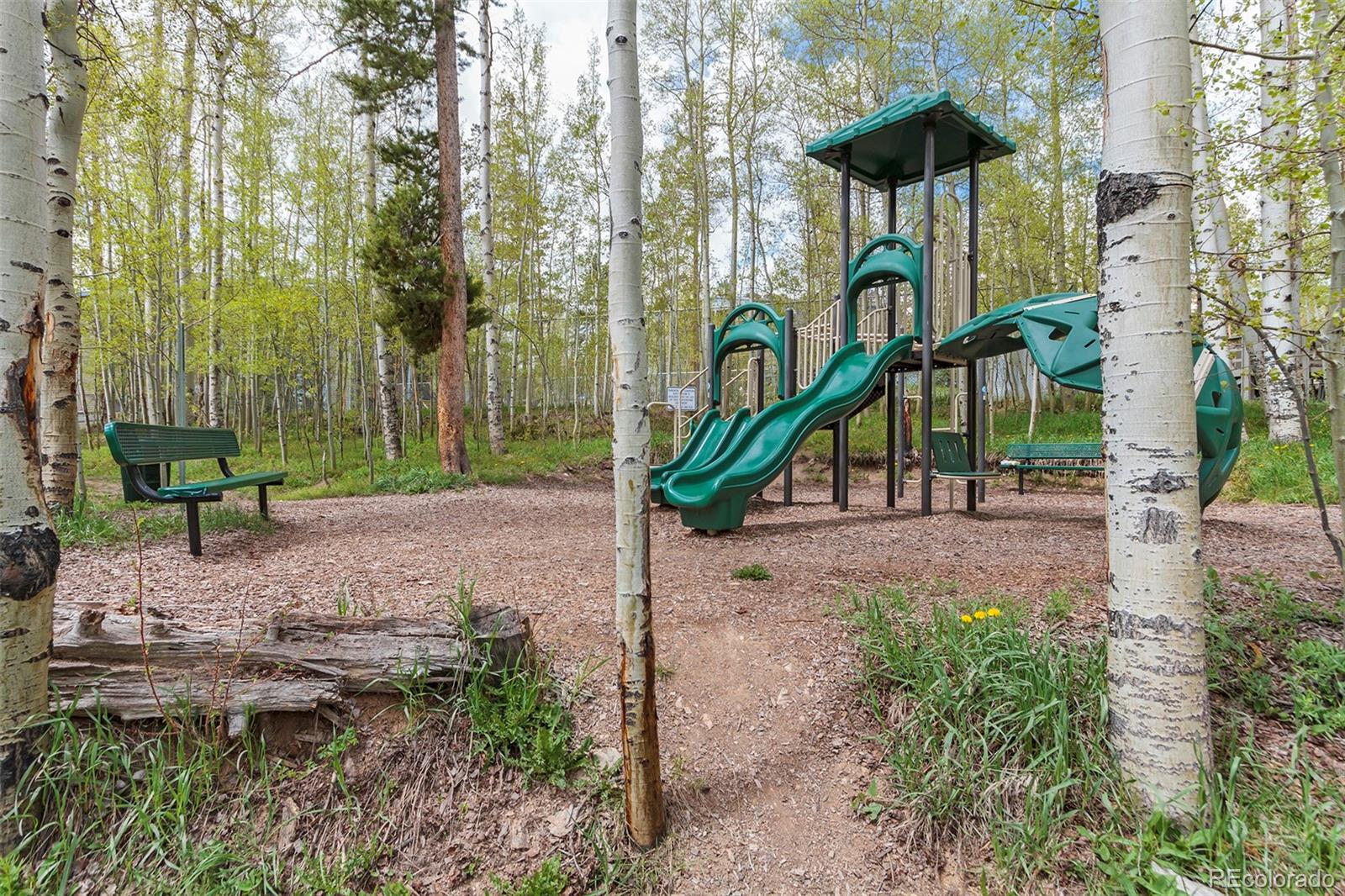 4200 Lodge Pole Cir #108, Silverthorne, CO 80498
