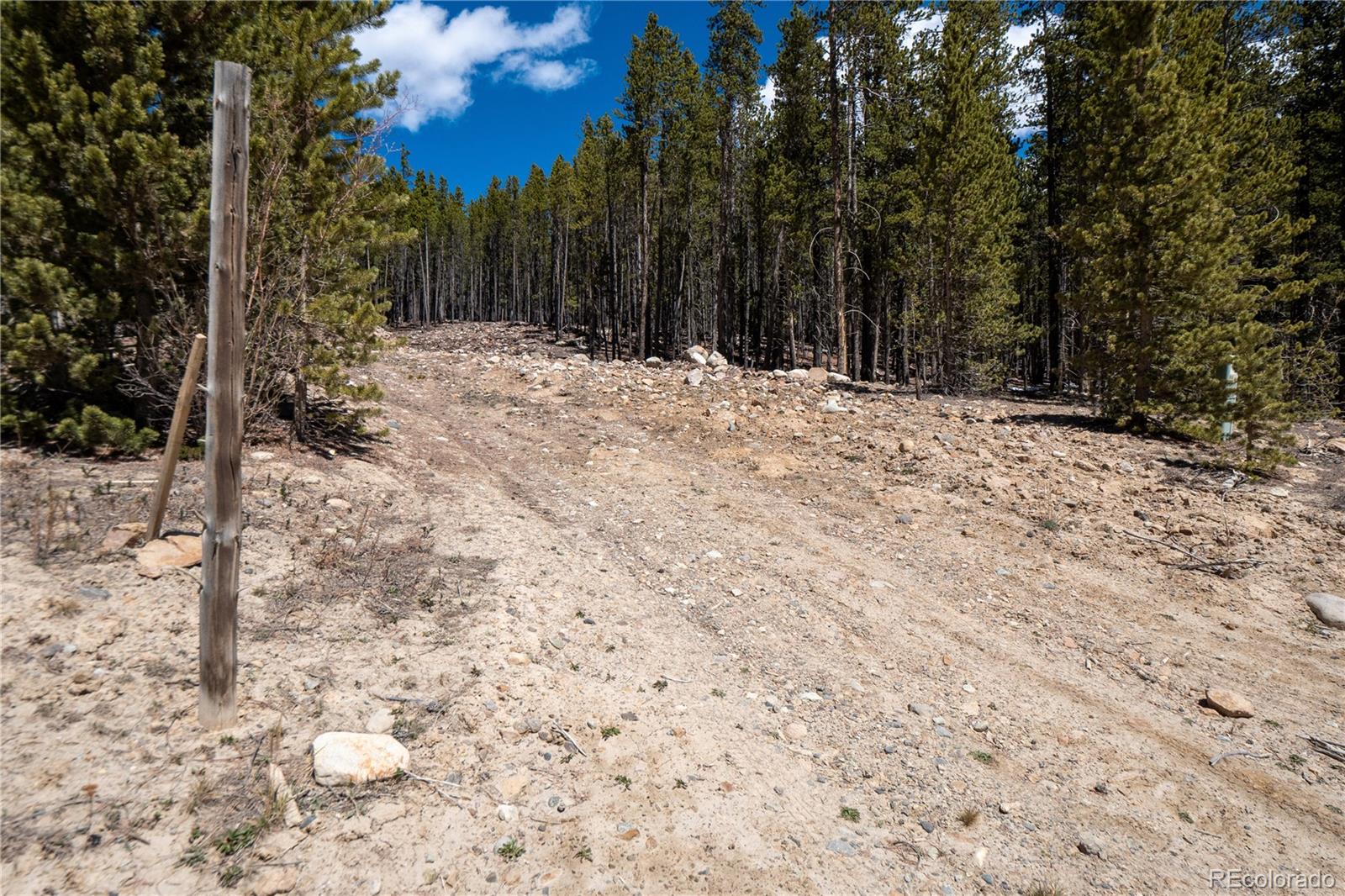 3149 Nugget Rd, Fairplay, CO 80440
