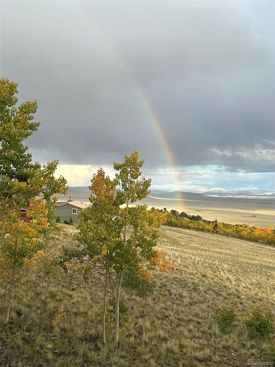 612 Sheep Ridge Rd, Fairplay, CO 80440