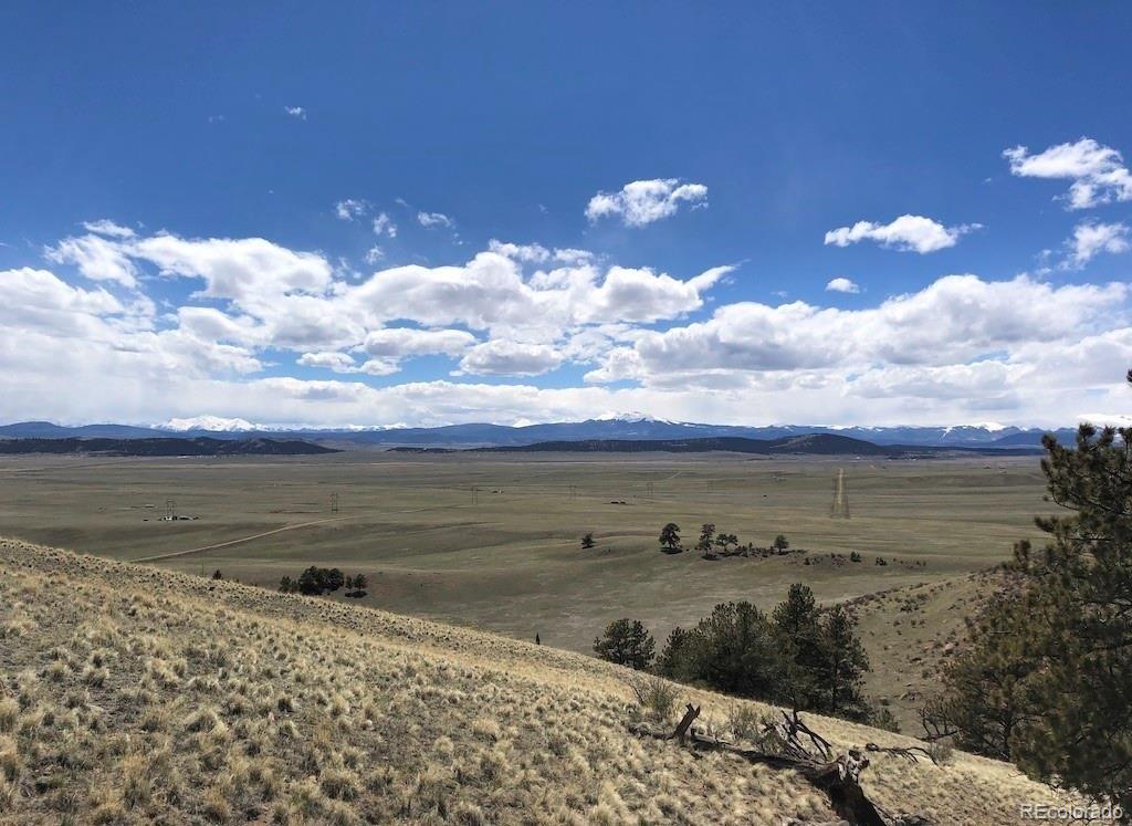 Lot 11 Willow St, Hartsel, CO 80449