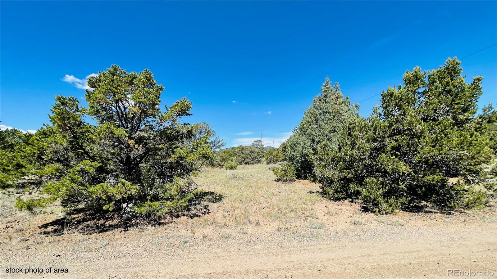 976 Kenosha Rd, South Fork, CO 81154