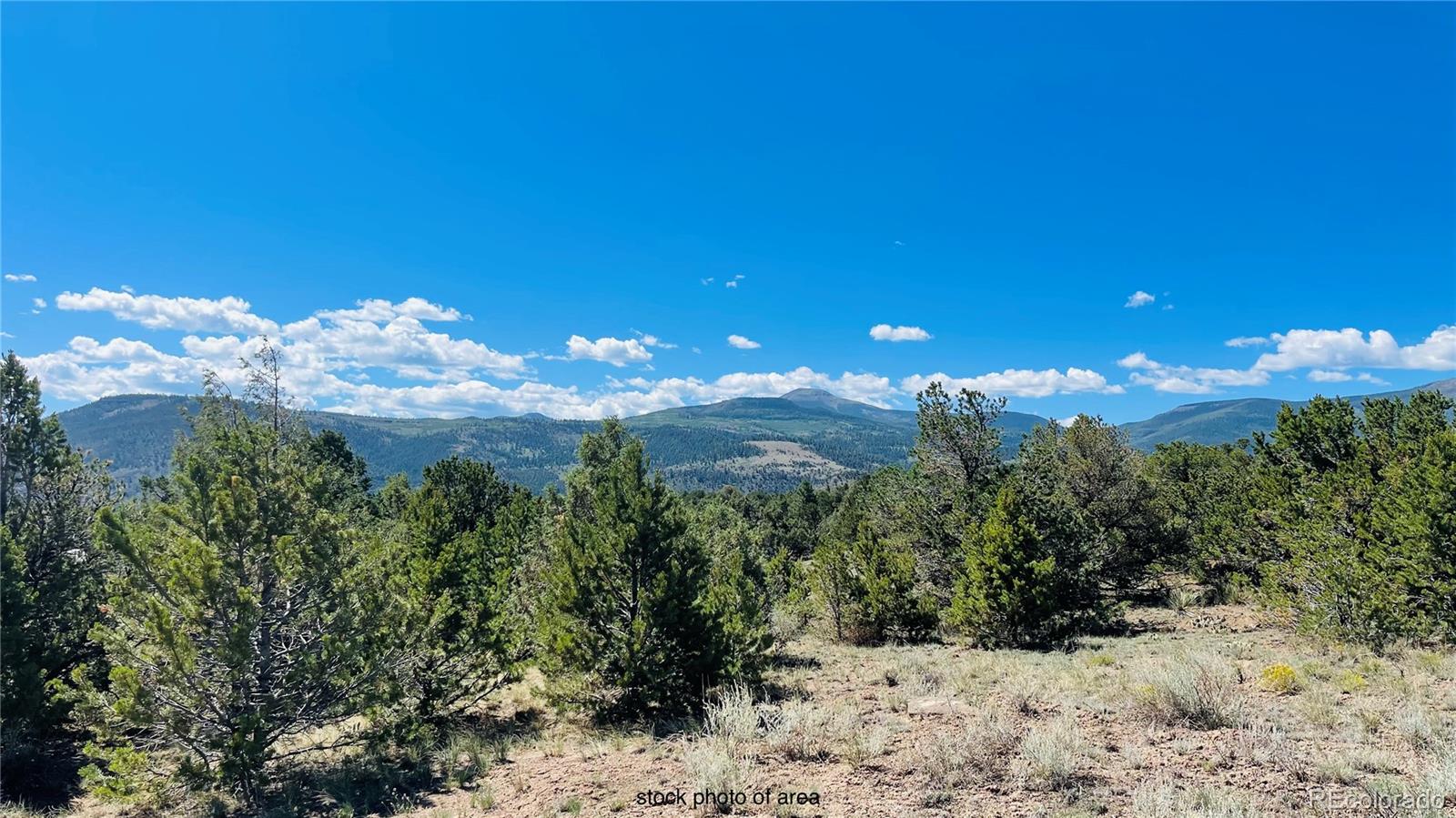 976 Kenosha Rd, South Fork, CO 81154
