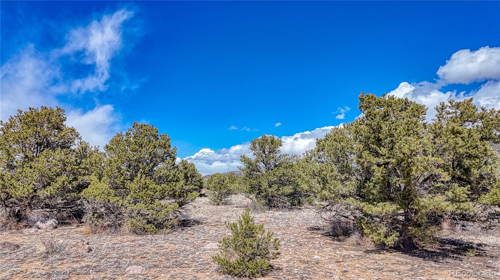 12499 Las Colinas Dr Lot 39, Salida, CO 81201