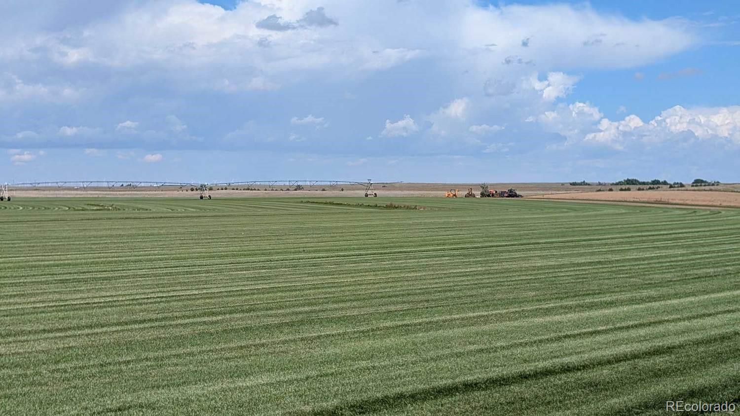 23500 Cr 5, Rush, CO 80833