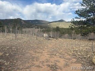404 Spade Pl, Jefferson, CO 80456