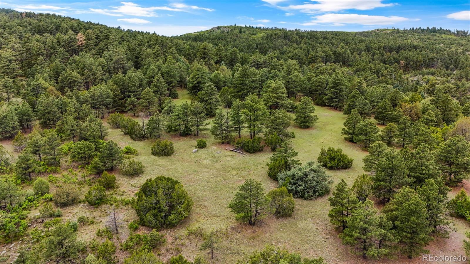 8716 National Forest Dr, Beulah, CO 81023