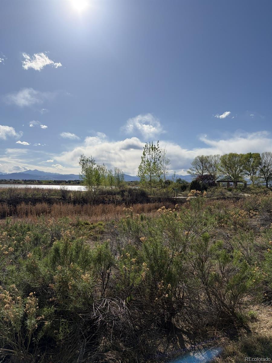 3943 Owl Creek Ct, Loveland, CO 80538