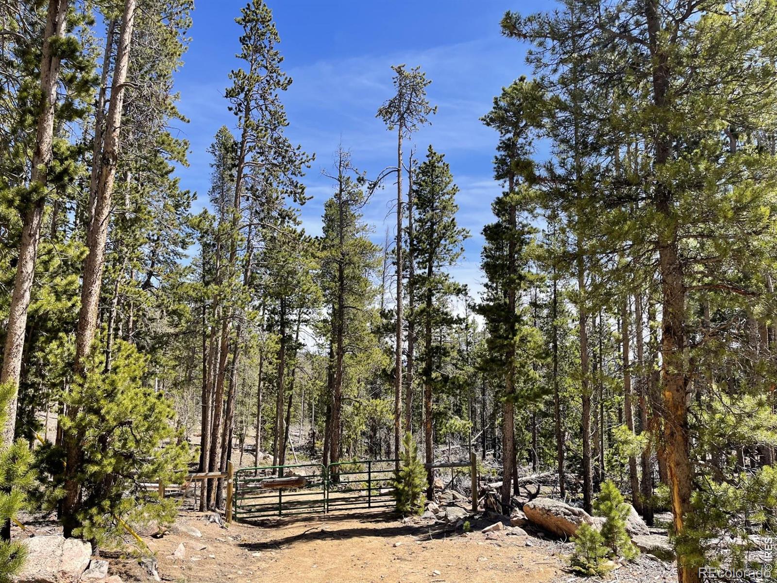 1374 Jicarilla Trl, Red Feather Lakes, CO 80545