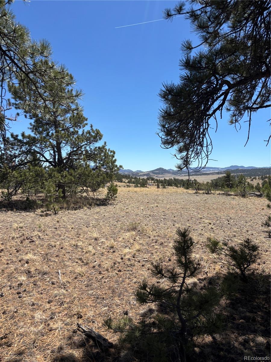 Hiawatha Cir Lot 5935, Hartsel, CO 80449