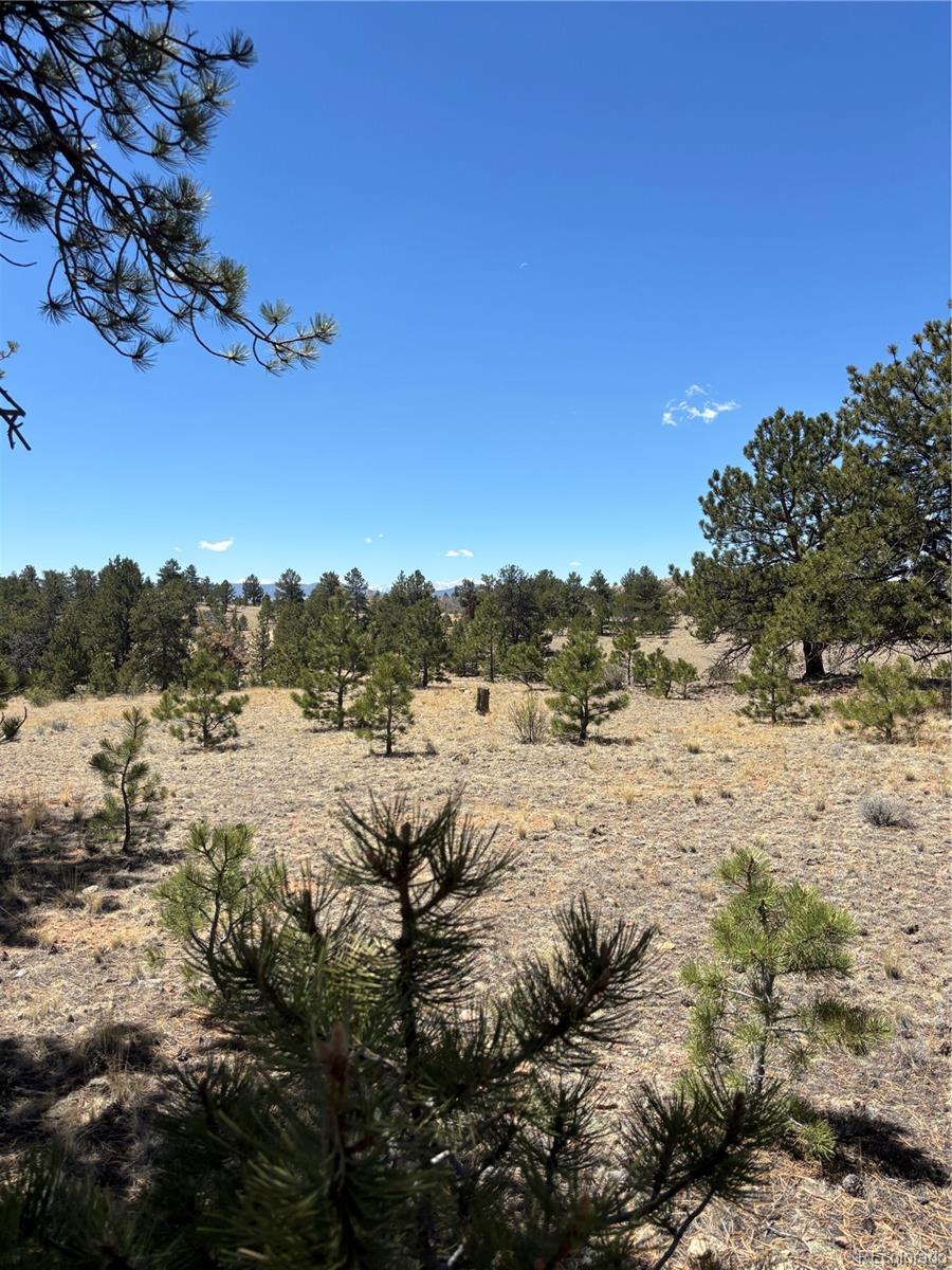 Hiawatha Cir Lot 5935, Hartsel, CO 80449