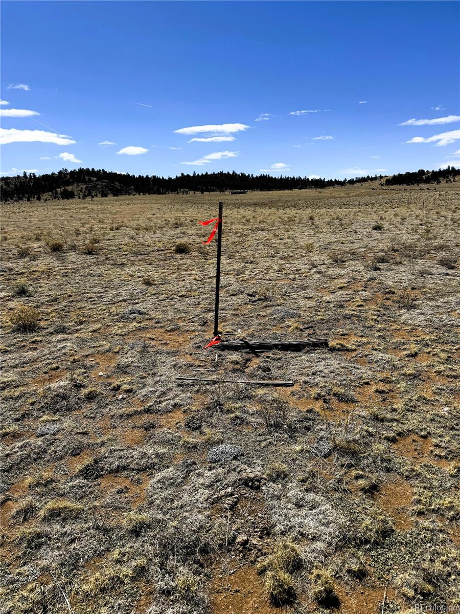 Lot 52 Gila Way Lot 52, Hartsel, CO 80449